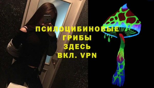 соль ск Алексин