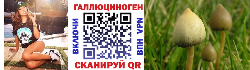 Галлюциногенные грибы Cubensis  площадка Telegram  Бугуруслан 