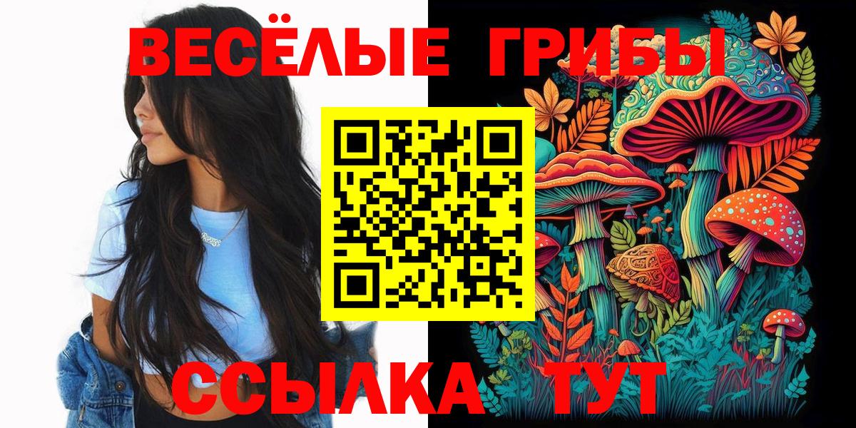 Псилоцибиновые грибы Cubensis Бугуруслан